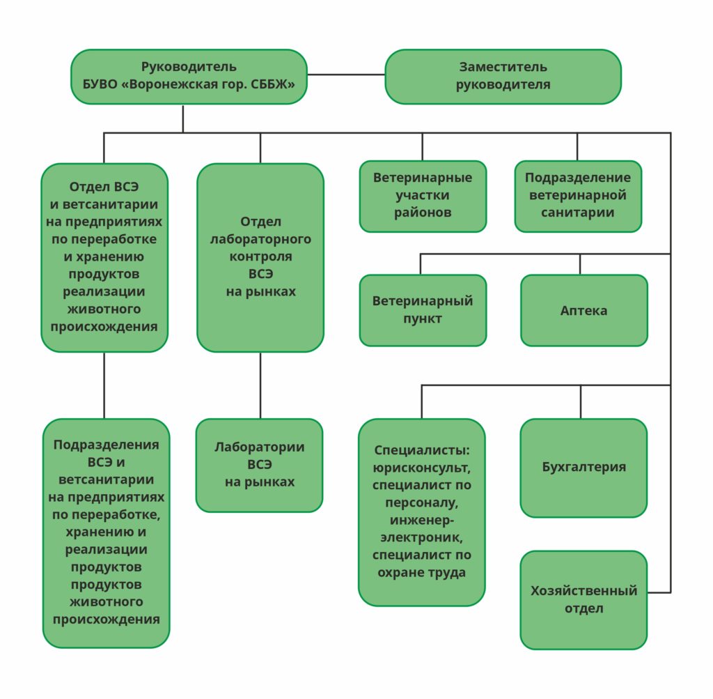 Структура БУВО «Воронежская городская станция по борьбе с болезнями  животных»—Государственная ветеринарная служба города одна из старейших в  городе организаций, предоставляющая качественные услуги по лечению  животных. И это малая часть деятельности ...